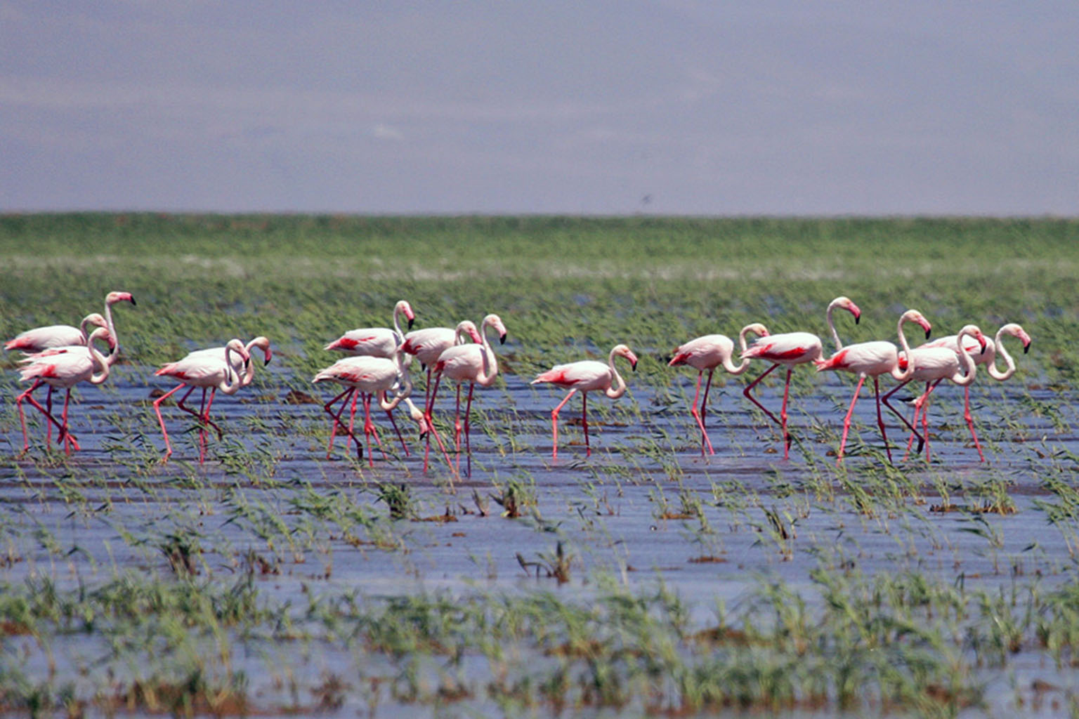Cappadocia Bird Paradise Tour 2