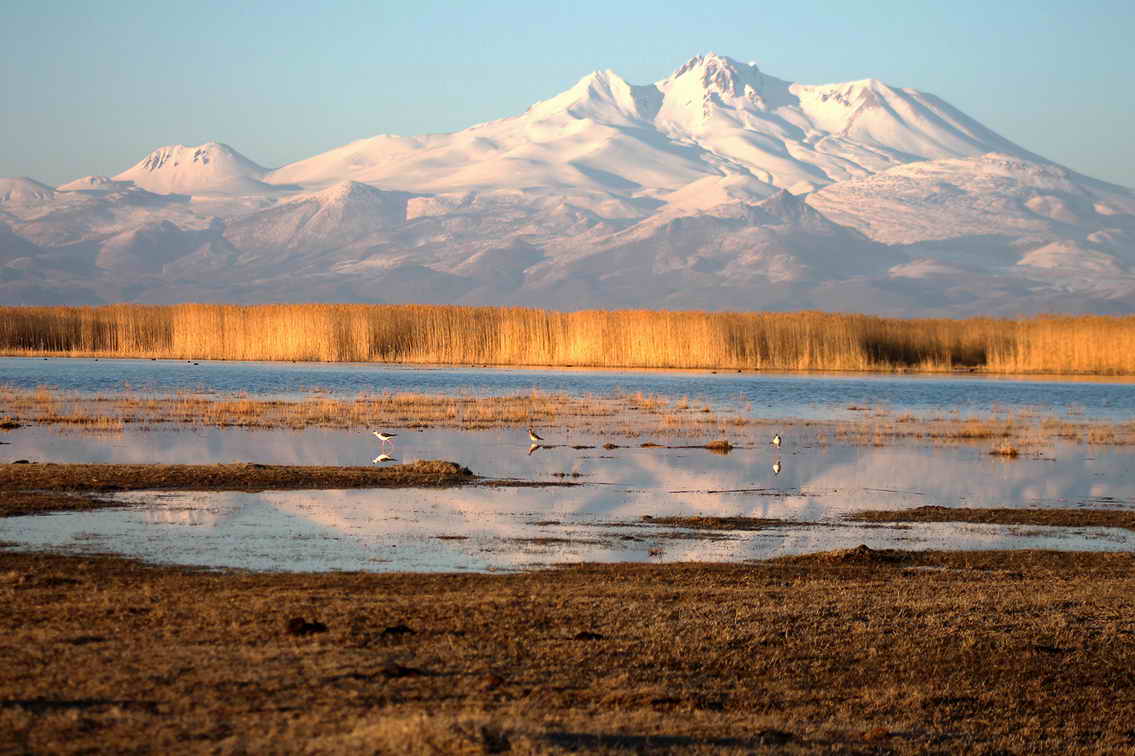 Cappadocia Bird Paradise Tour 4