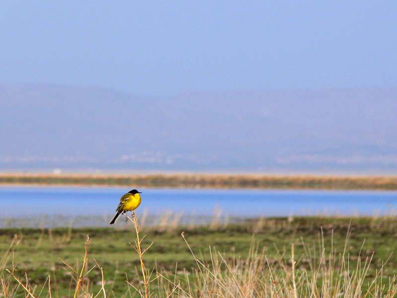 Cappadocia Bird Paradise Tour 5