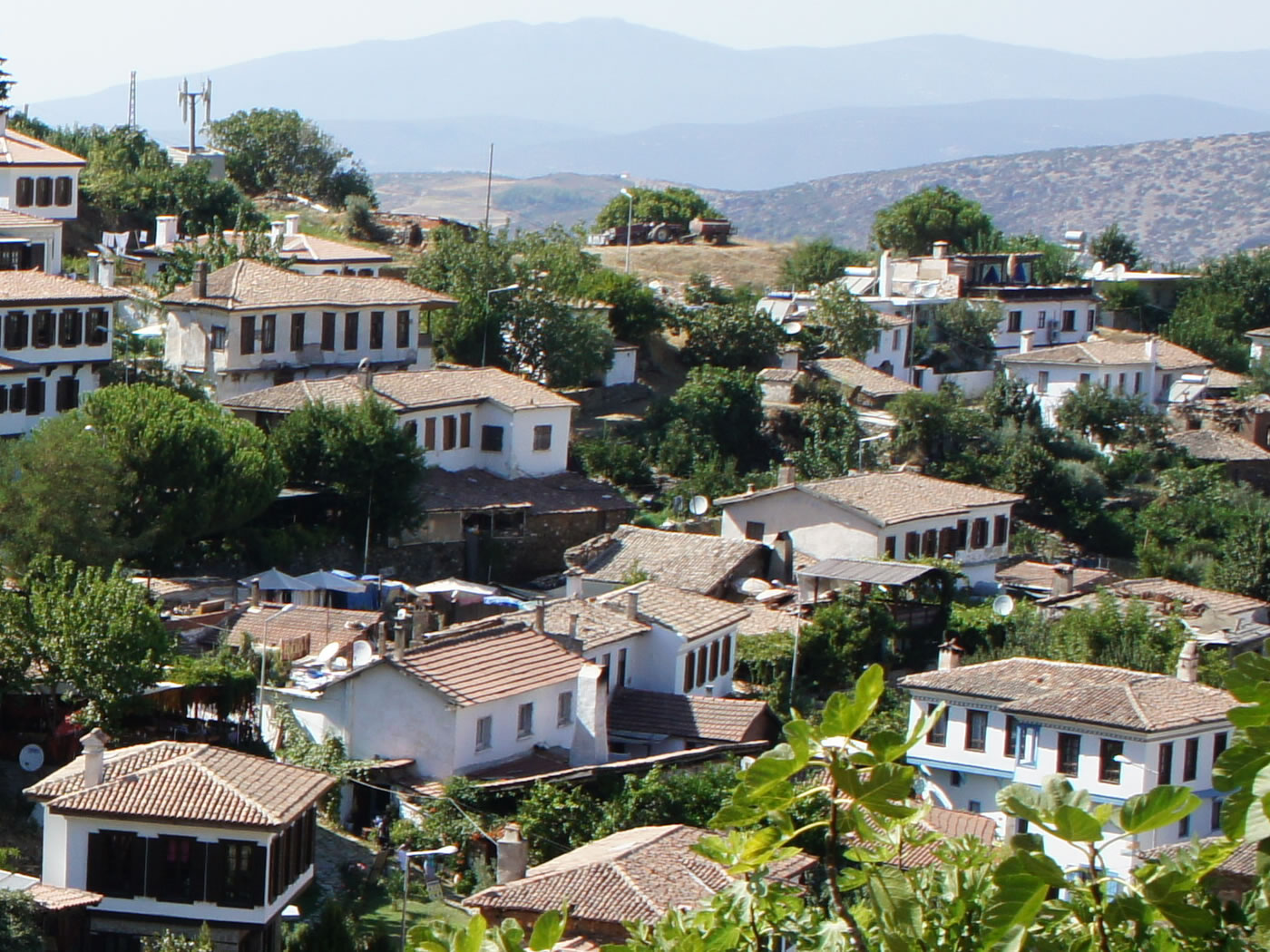 Private Ephesus Tour From Kusadasi Private Ephesus Tour From Kusadasi 3