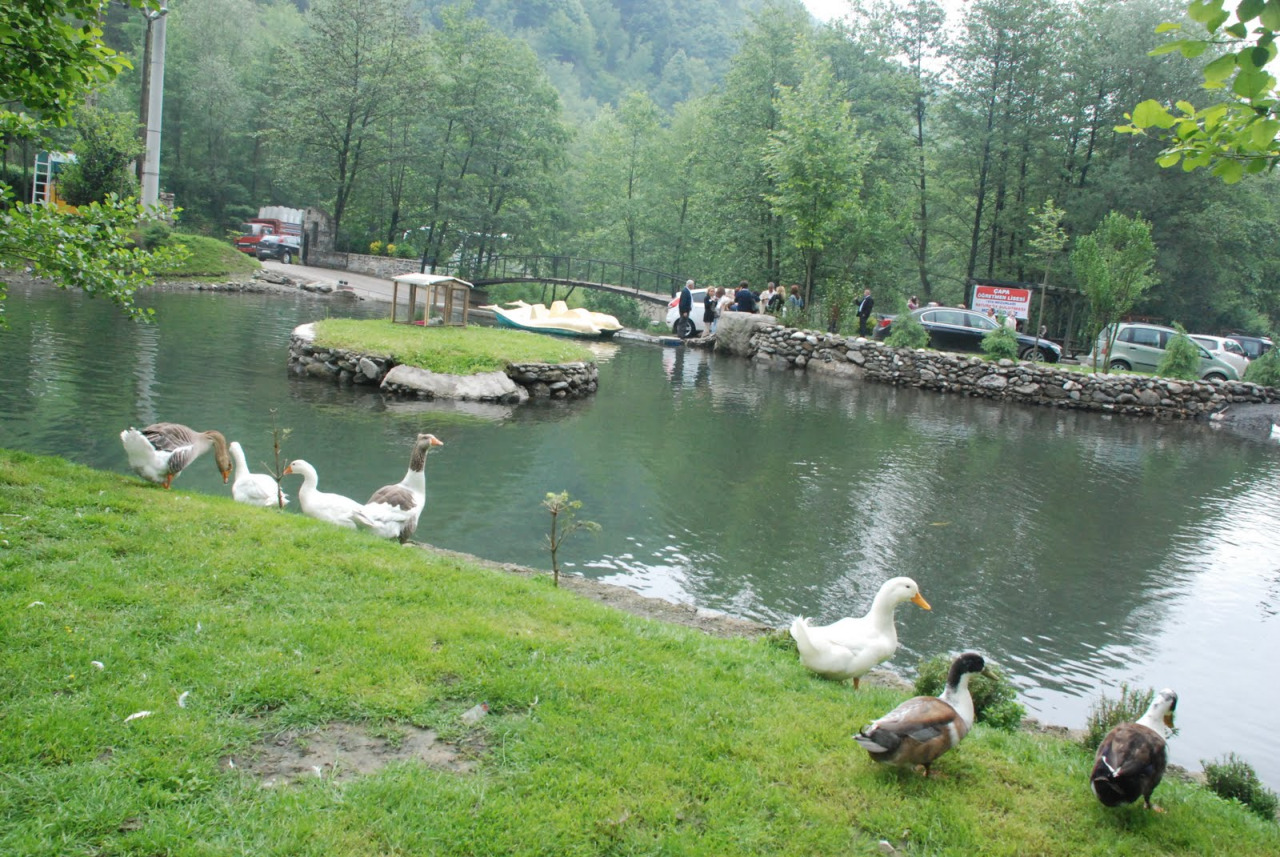 Sapanca And Kartepe Tour 2